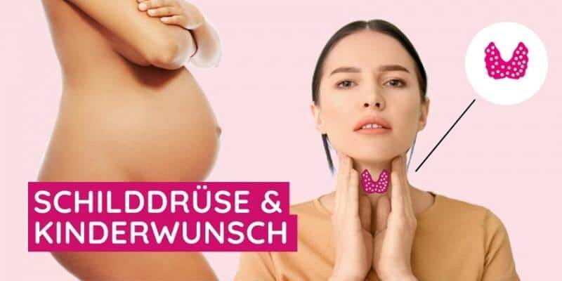 Die Schilddrüse bei Kinderwunsch ertasten