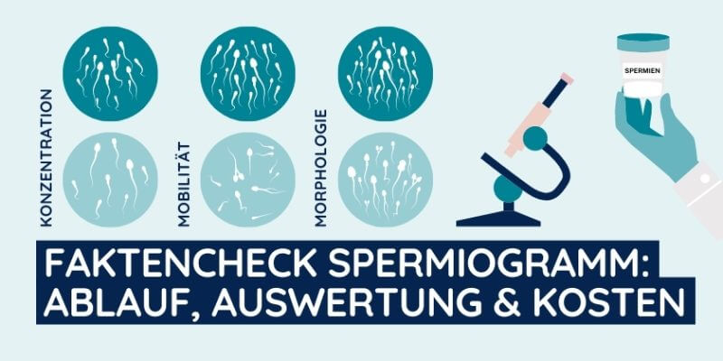 Faktencheck was beim Spermiogramm untersucht wird