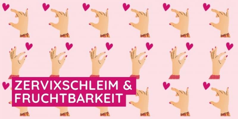 Grafische Darstellung Zervixschleim und Furchtbarkeit