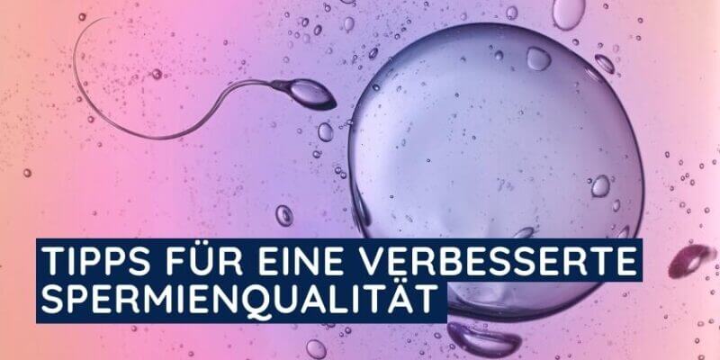 Ein Spermium befruchtet ein Ei