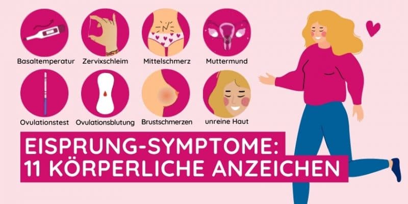 Symbolische Darstellung der Anzeichen des Eisprungs wie Brustschmerzen, Basaltemperatur und Ovulationstest