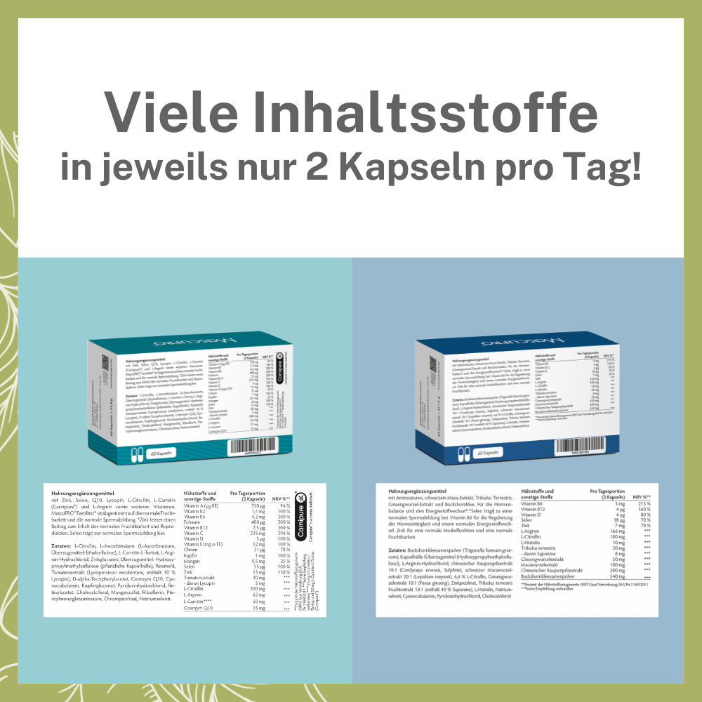 MascuPRO Löwenkraft – viele Inhaltsstoffe in veganen Kapseln!