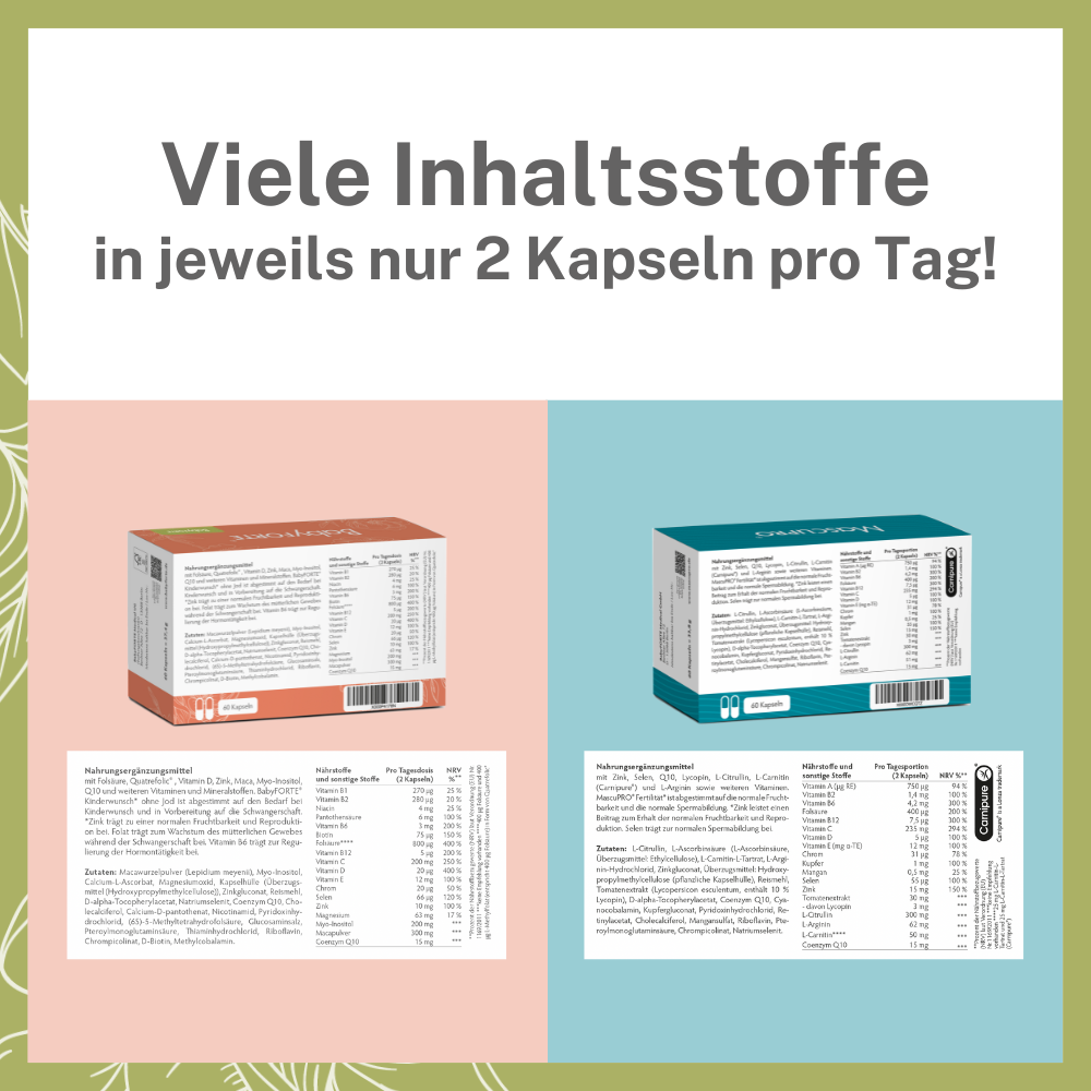 BabyFORTE Kinderwunsch Komplett-Paket oJ – viele Inhaltsstoffe in veganen Kapseln! Kinderwunsch, Fertilität